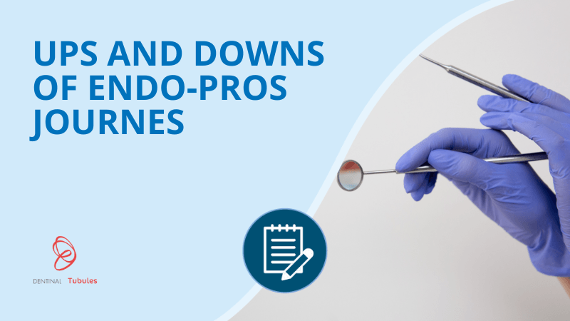 Ups and downs of endo-pros journeys - making it work!